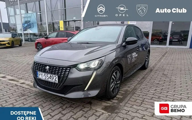 wielkopolskie Peugeot 208 cena 77700 przebieg: 500, rok produkcji 2023 z Sędziszów